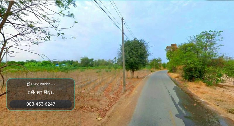 Divided for rent, 3 rai of land, view of cassava plantation. Near Phaisali School and Hospital, Phaisali District, Nakhon Sawan Province – รูปที่ 3
