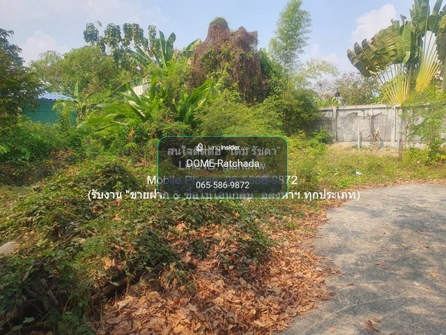 DSL-1247 Selling vacant land, filled in, small plot 100 sq m behind Senaniwet Village, Project 2, price 6,500,000 baht. – รูปที่ 4
