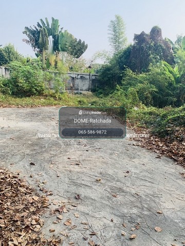 DSL-1247 Selling vacant land, filled in, small plot 100 sq m behind Senaniwet Village, Project 2, price 6,500,000 baht. – รูปที่ 2