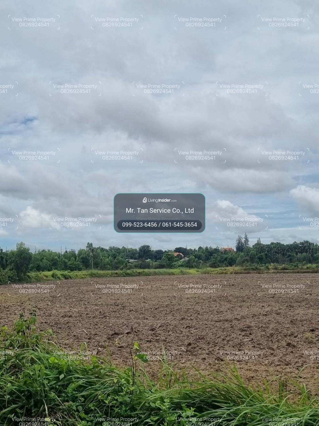 Cheap land for sale, 130 rai, price 2.5 million baht per rai, next to Road 304, Prachinburi Province. – รูปที่ 3