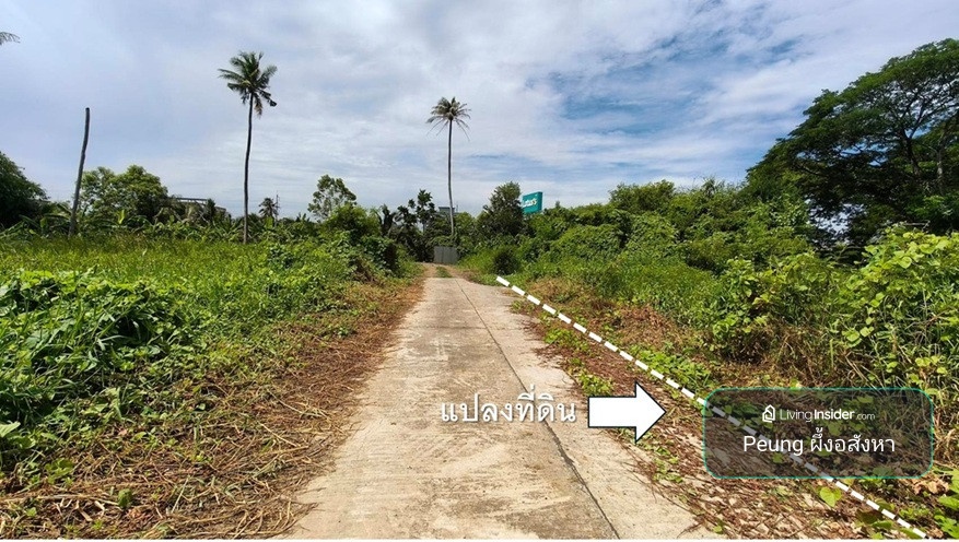 Land for sale in Nakhon Pathom, Soi Sam Phran 12/2, beautiful plot, pink layout, 8 rai 79 sq m. – รูปที่ 2