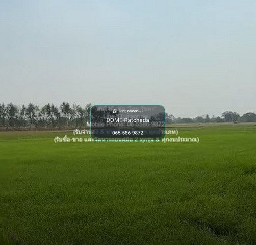 DSL-1030 //Below appraised price//Land for sale in rice fields, Nakhon Luang District, Phra Nakhon Si Ayutthaya Province, 17-0-76 rai, 2600000 baht – รูปที่ 3