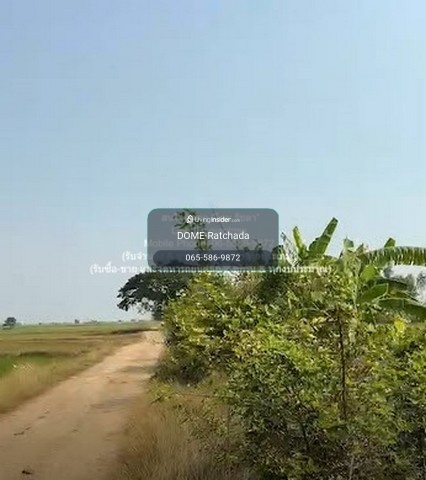 DSL-1030 //Below appraised price//Land for sale in rice fields, Nakhon Luang District, Phra Nakhon Si Ayutthaya Province, 17-0-76 rai, 2600000 baht – รูปที่ 2