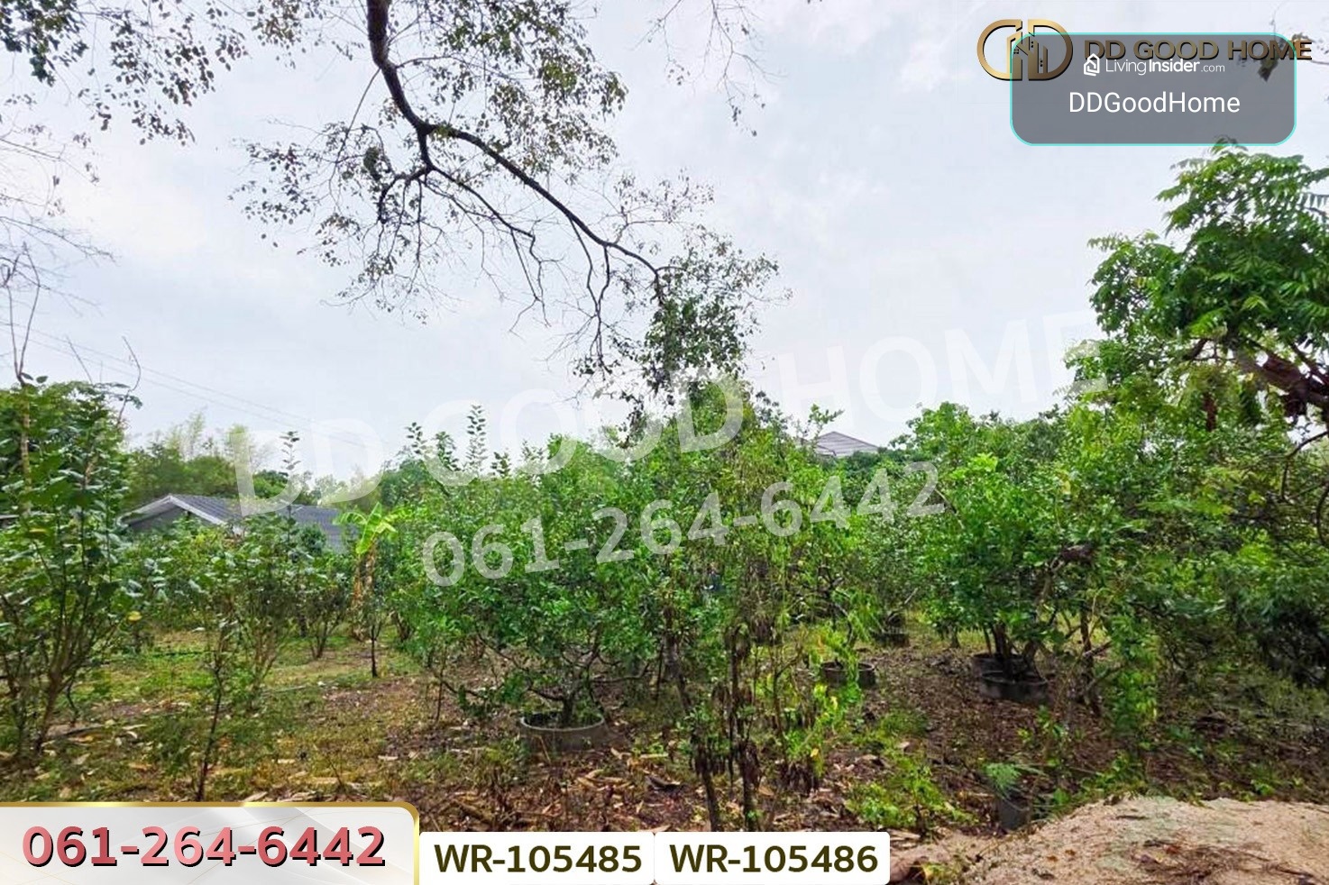 ที่ดินพร้อมบ้านเดี่ยวบ้านฉาง 1 ไร่ 190.7 ตร.ว. ระยอง ใกล้สนามบินอู่ตะเภา WR-105485 / WR-105486 – รูปที่ 4