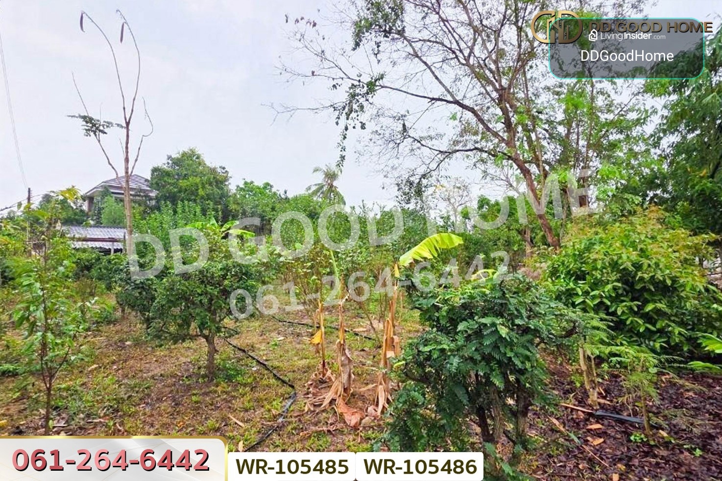 ที่ดินพร้อมบ้านเดี่ยวบ้านฉาง 1 ไร่ 190.7 ตร.ว. ระยอง ใกล้สนามบินอู่ตะเภา WR-105485 / WR-105486 – รูปที่ 3