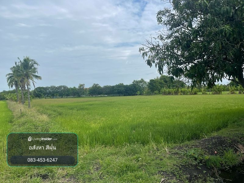 ที่นา 7-3-08 ไร่ ใกล้หมู่บ้านและสถานีรถไฟบ้านกลับ ตำบลบ้านกลับ อำเภอหนองโดน จังหวัดสระบุรี – รูปที่ 4