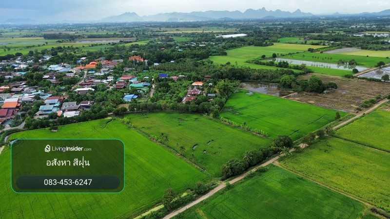 ที่นา 7-3-08 ไร่ ใกล้หมู่บ้านและสถานีรถไฟบ้านกลับ ตำบลบ้านกลับ อำเภอหนองโดน จังหวัดสระบุรี – รูปที่ 2