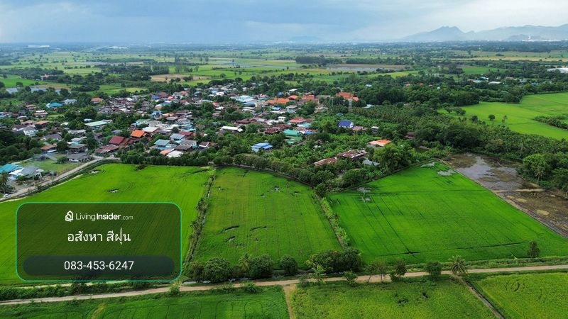 ที่นา 7-3-08 ไร่ ใกล้หมู่บ้านและสถานีรถไฟบ้านกลับ ตำบลบ้านกลับ อำเภอหนองโดน จังหวัดสระบุรี – รูปที่ 3