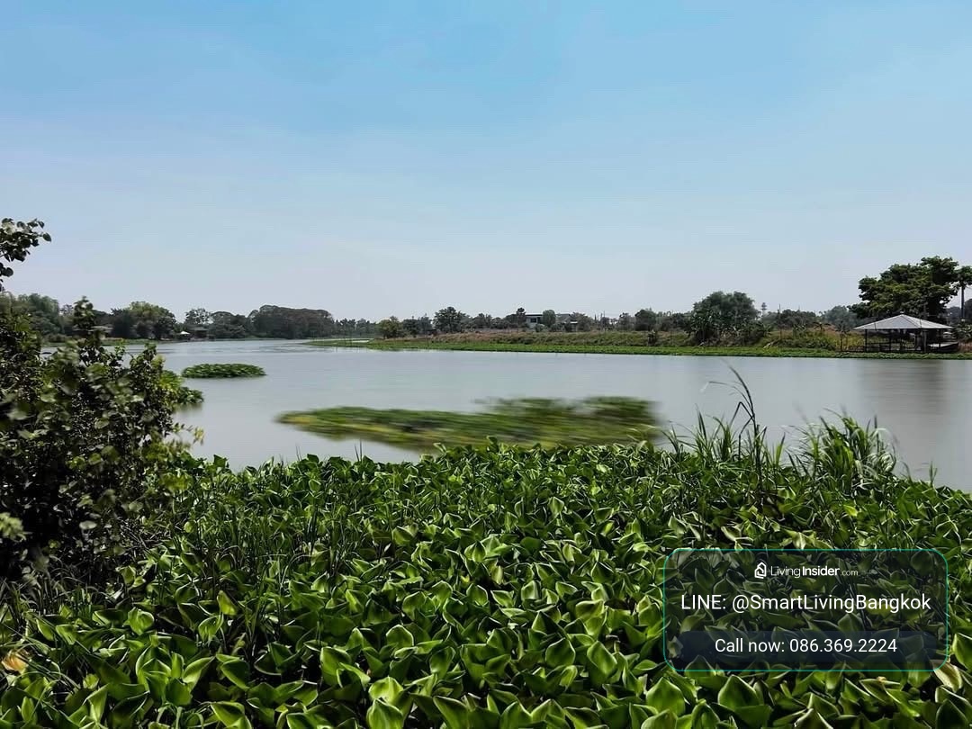 ขายที่ดินริมน้ำนครชัยศรี บางเลน วิวคุ้งน้ำสวย เหมาะสร้างบ้านหรือคาเฟ่ริมน้ำ – รูปที่ 2