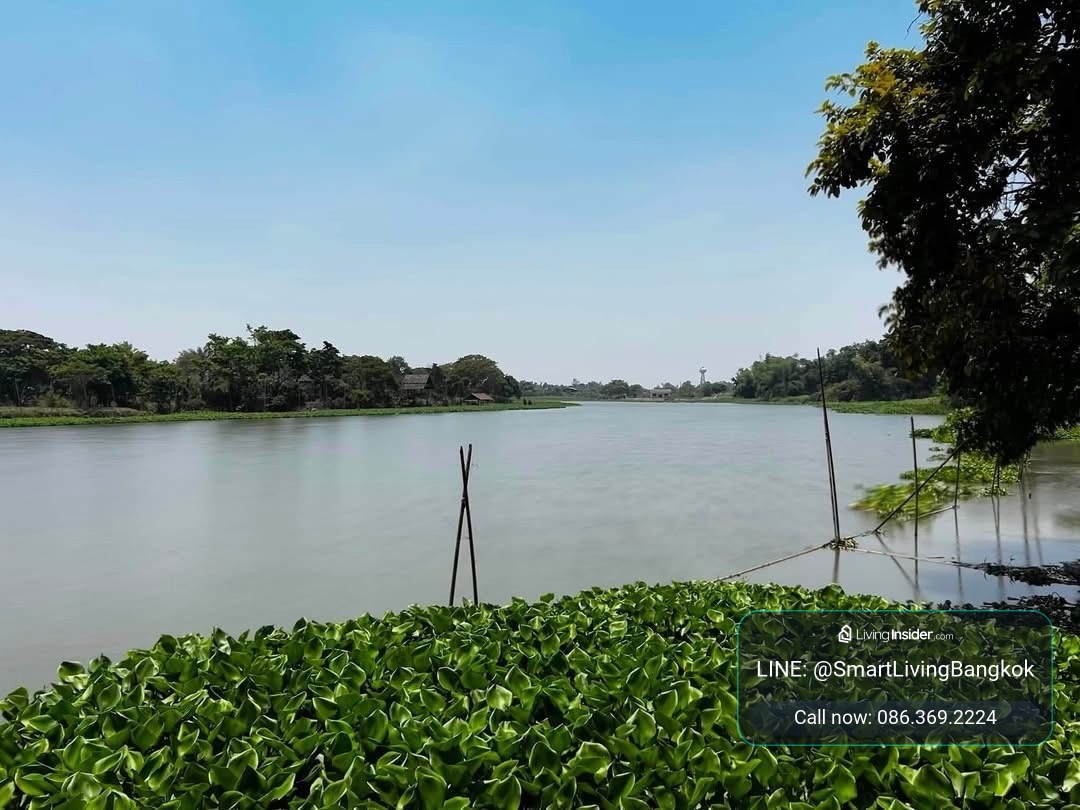 ขายที่ดินริมน้ำนครชัยศรี บางเลน วิวคุ้งน้ำสวย เหมาะสร้างบ้านหรือคาเฟ่ริมน้ำ – รูปที่ 3