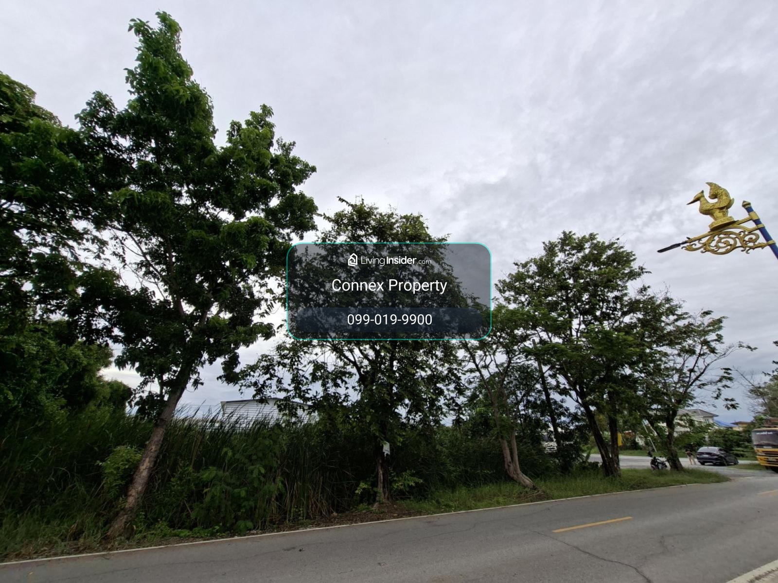 ขายที่ดินเปล่า ลาดหลุมแก้ว คูบางหลวง ลาดหลุมแก้ว ปทุมธานี CX-171409 – รูปที่ 2