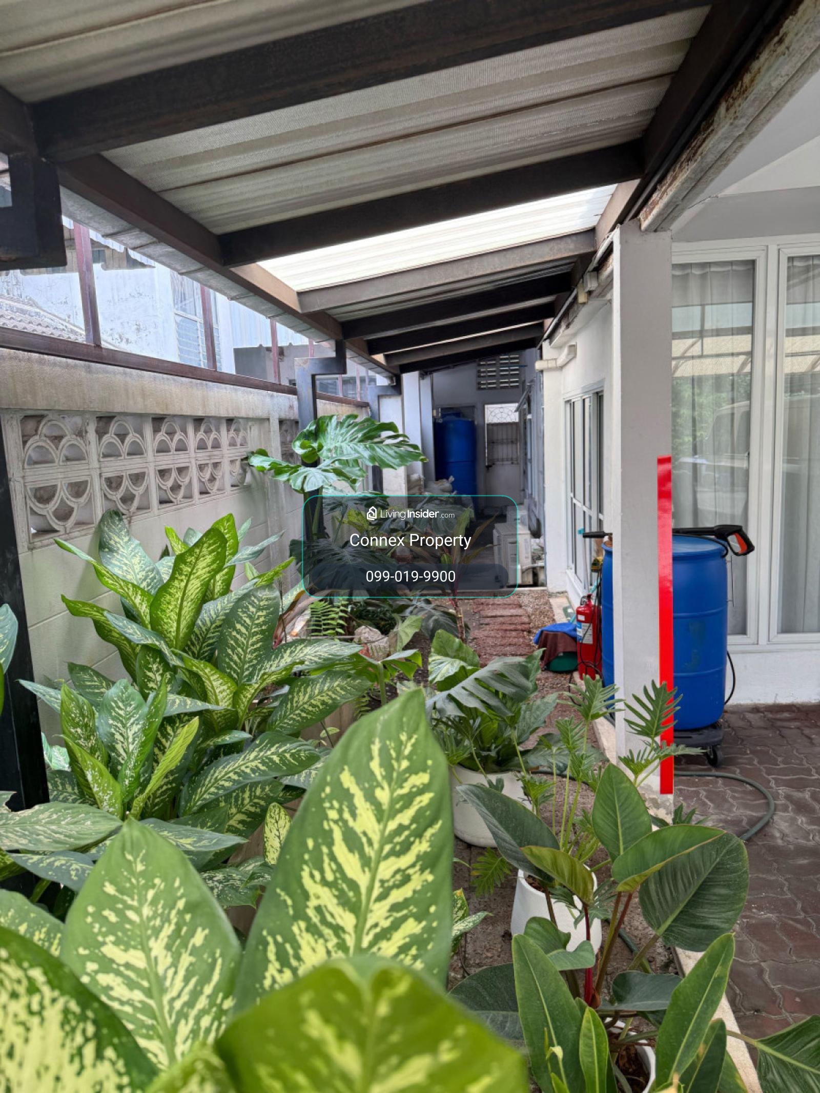ขายบ้าน  บ้านประชาชื่น สามัคคี 63 บางตลาด ปากเกร็ด นนทบุรี CX-170742 – รูปที่ 3