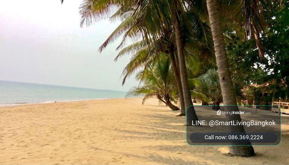 ที่ดินติดทะเลหาดแหลมกุ่ม ทับสะแก ประจวบคีรีขันธ์ หาดสวย น้ำใส หน้าหาดกว้าง 30 เมตร ไม่มีถนนคั่น – รูปที่ 3