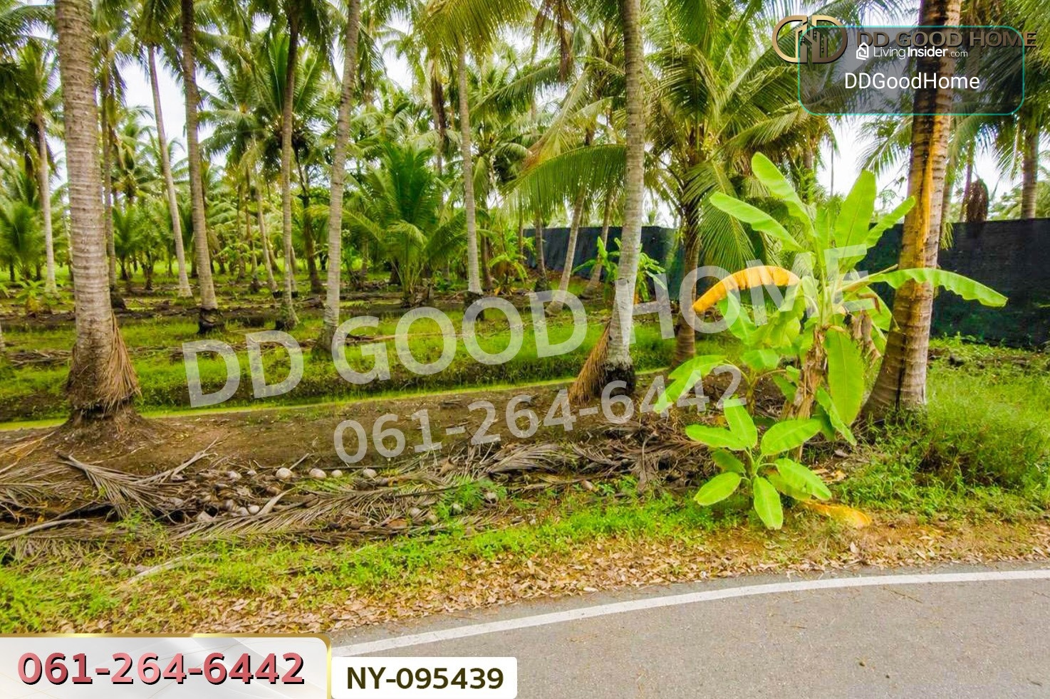 ที่ดินดำเนินสะดวก 1 ไร่ 252.6 ตร.ว. ราชบุรี ใกล้ตลาดน้ำดำเนินสะดวก NY-095439 – รูปที่ 3