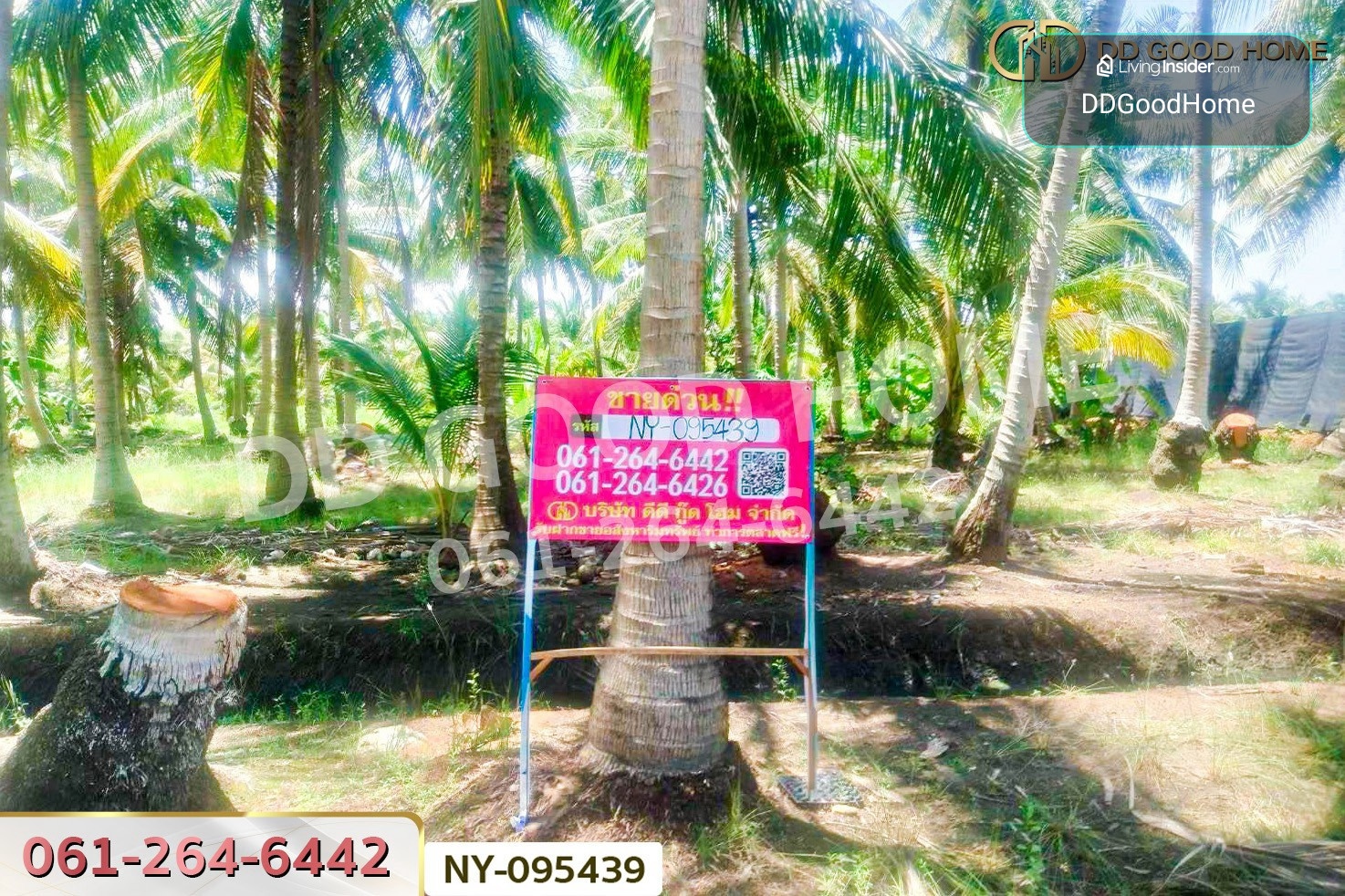 ที่ดินดำเนินสะดวก 1 ไร่ 252.6 ตร.ว. ราชบุรี ใกล้ตลาดน้ำดำเนินสะดวก NY-095439 – รูปที่ 2