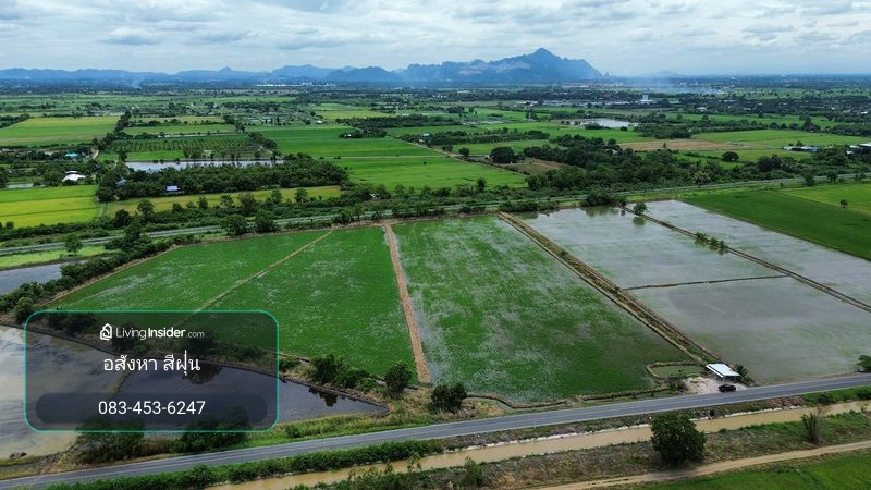 Rice field 15-2-52 rai next to a public road. Near Ban Klap Railway Station, Ban Klap Subdistrict, Nong Don District, Saraburi Province. – รูปที่ 4