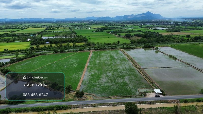 Rice field 15-2-52 rai next to a public road. Near Ban Klap Railway Station, Ban Klap Subdistrict, Nong Don District, Saraburi Province. – รูปที่ 3