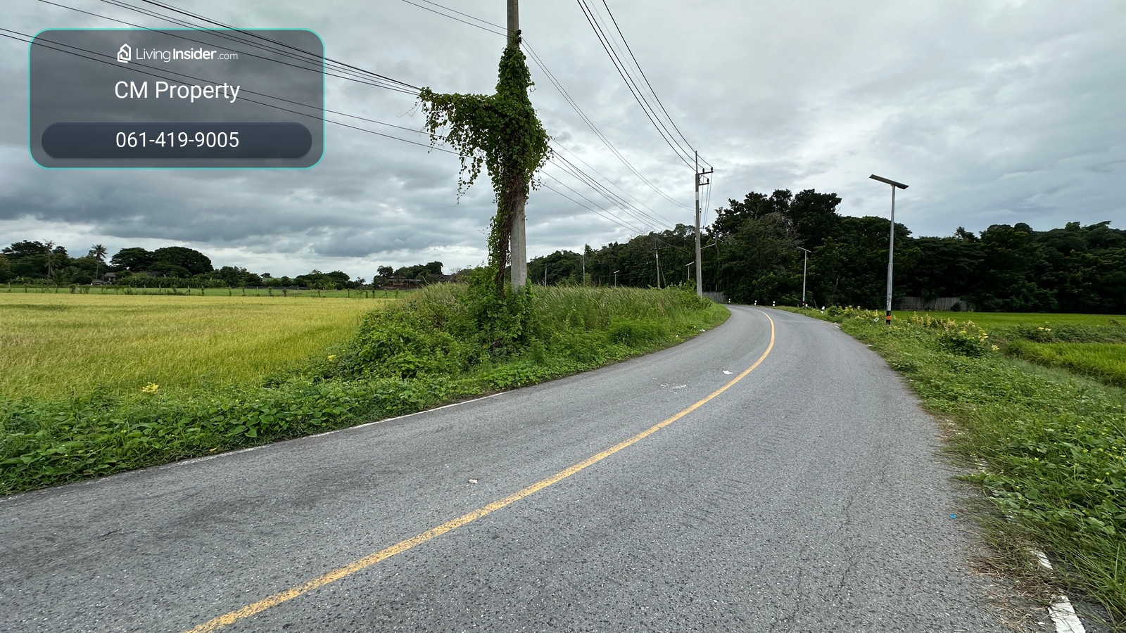 Corner plot of land 🌿 rice field view, Don Faek Subdistrict, Nakhon Chai Si District, Nakhon Pathom Province. – รูปที่ 3