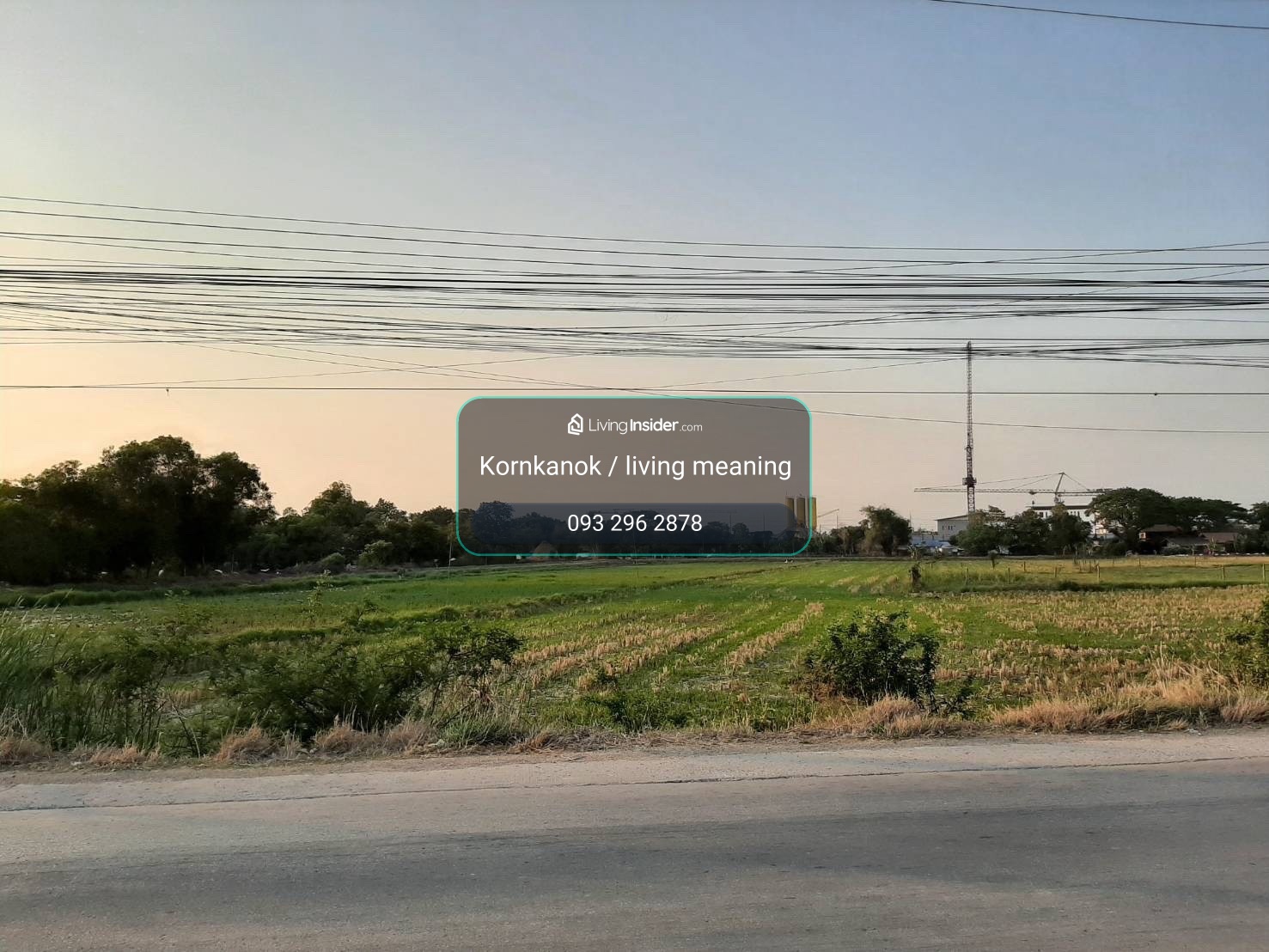 ขายที่ดินติดริมถนน 12 ไร่ คลอง 6-7 ลำลูกกา, (ซอย อบจ.) จ. ปทุมธานี (ใกล้อำเภอ เเหล่งชุมชน) – รูปที่ 2