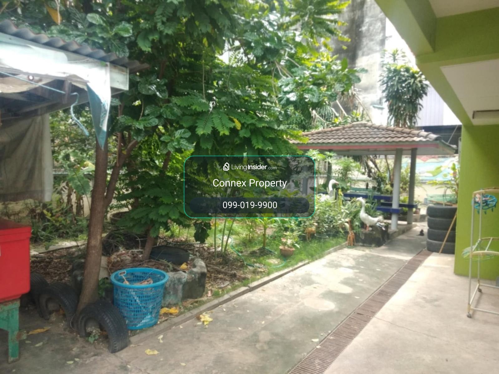 For Sale House and land for sale in the Rangsit area. , Pracha Thipat , Thanyaburi , Pathum Thani , CX-172409 – รูปที่ 2