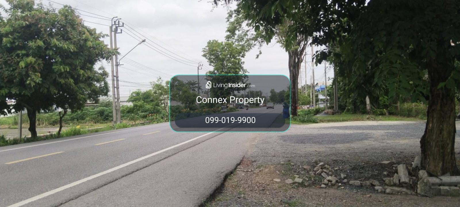 ขายที่ดิน600ตร.ว. พร้อมบ้านมีต้นไม้ใหญ่ บรรยากาศ ร่มรื่น หนองจอก หนองจอก เขต หนองจอก กรุงเทพ CX-172015 – รูปที่ 4