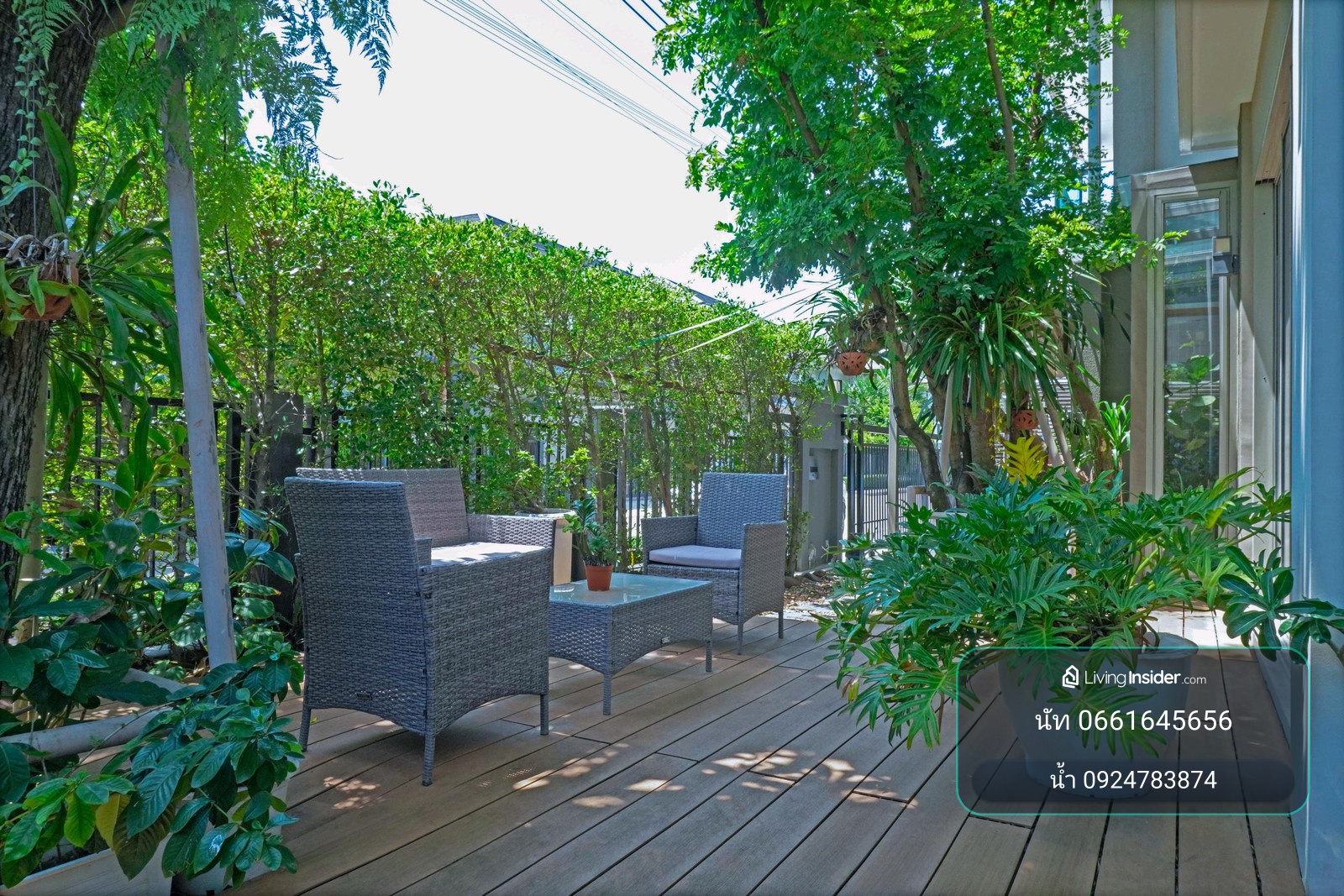 ขายขาดทุน!!! ขายบ้านเดี่ยว THE PALM แจ้งวัฒนะ–ชัยพฤกษ์ | ตกแต่งสวย พร้อมอยู่ – รูปที่ 3