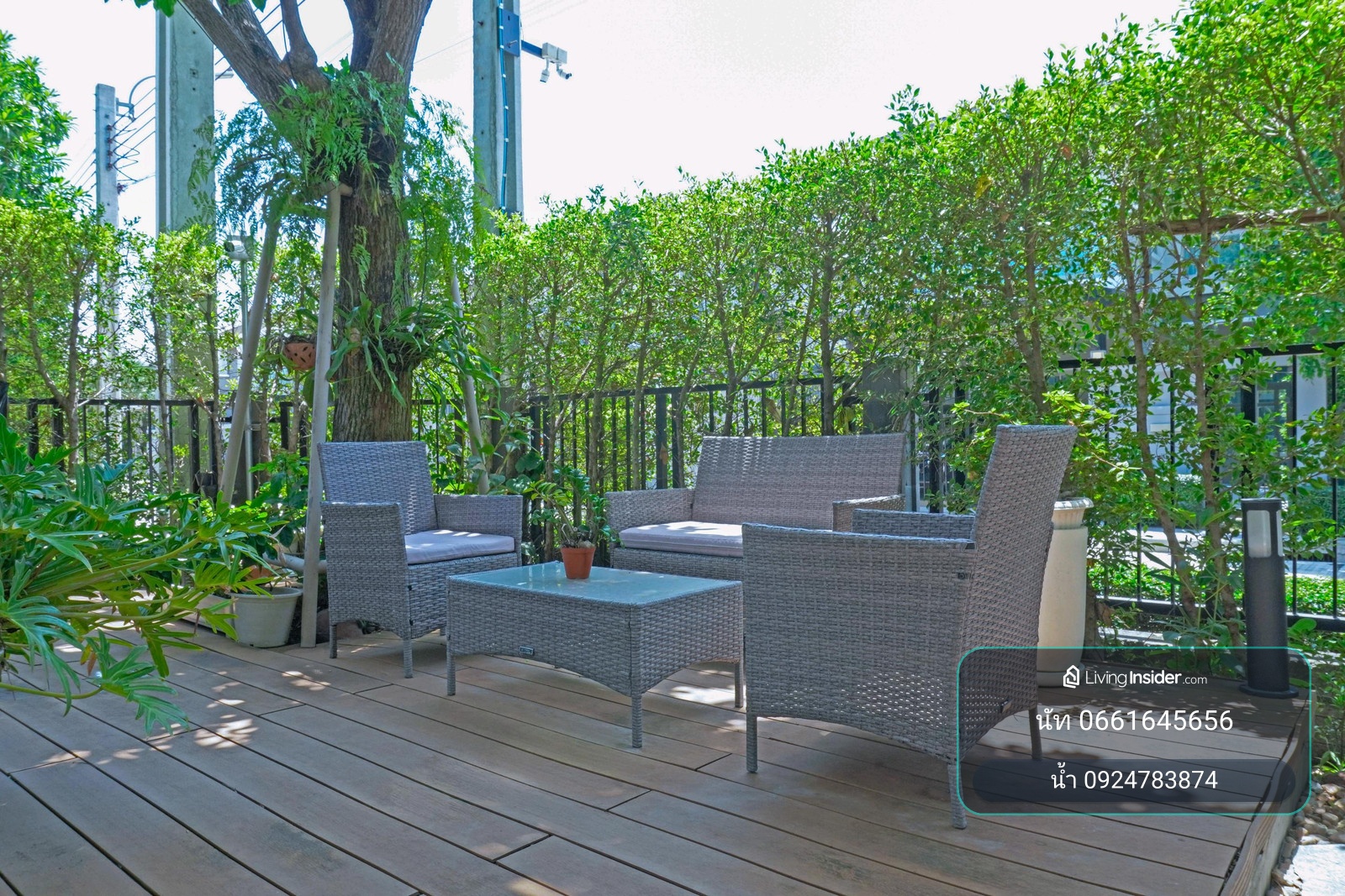 ขายขาดทุน!!! ขายบ้านเดี่ยว THE PALM แจ้งวัฒนะ–ชัยพฤกษ์ | ตกแต่งสวย พร้อมอยู่ – รูปที่ 4