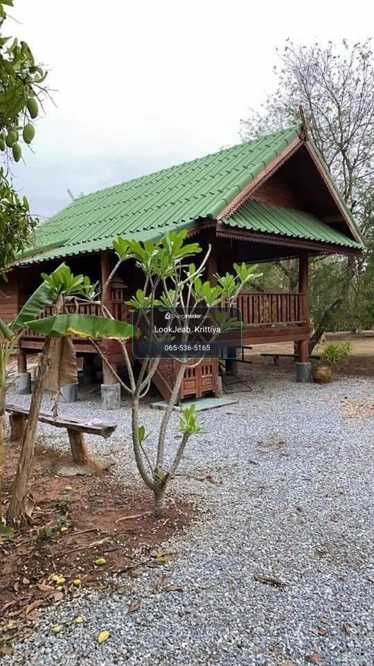 🌿 ขาย 5.5 ล้าน! ที่ดินพร้อมบ้านเรือนไทย+สวนผลไม้ 7 ไร่กว่า จ.แพร่ | โอนคนละครึ่ง 🏡✨ – รูปที่ 3