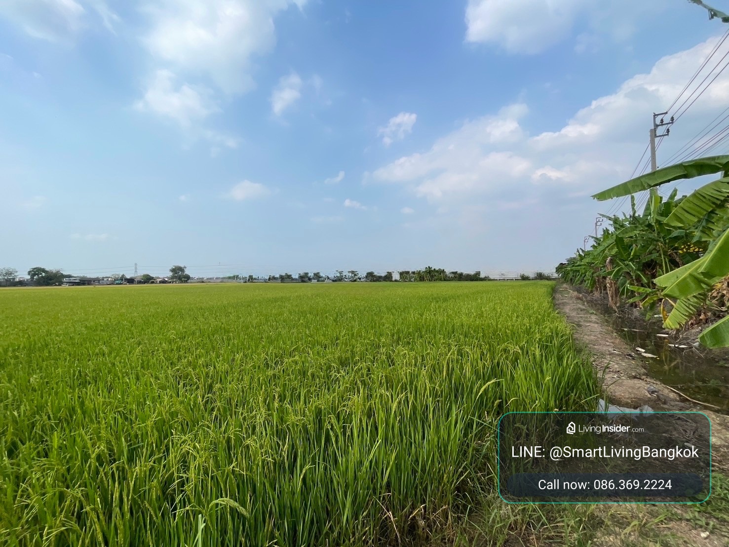 ที่ดินปากเกร็ด นนทบุรี แปลงใหญ่ผังสีเขียวเหลือง ทำเลศักยภาพ แบ่งขายได้ สำหรับผู้ที่มองหาที่ดินเพื่อการลงทุนหรือพัฒนา ที่อยู่อาศัย โกดัง โรงงาน ร้านอาหาร คาเฟ่ หรือกิจการอื่น – รูปที่ 2