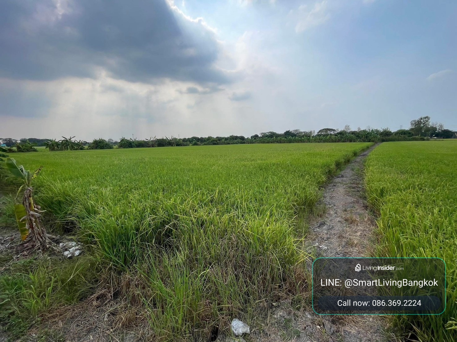 ที่ดินปากเกร็ด นนทบุรี แปลงใหญ่ผังสีเขียวเหลือง ทำเลศักยภาพ แบ่งขายได้ สำหรับผู้ที่มองหาที่ดินเพื่อการลงทุนหรือพัฒนา ที่อยู่อาศัย โกดัง โรงงาน ร้านอาหาร คาเฟ่ หรือกิจการอื่น – รูปที่ 4