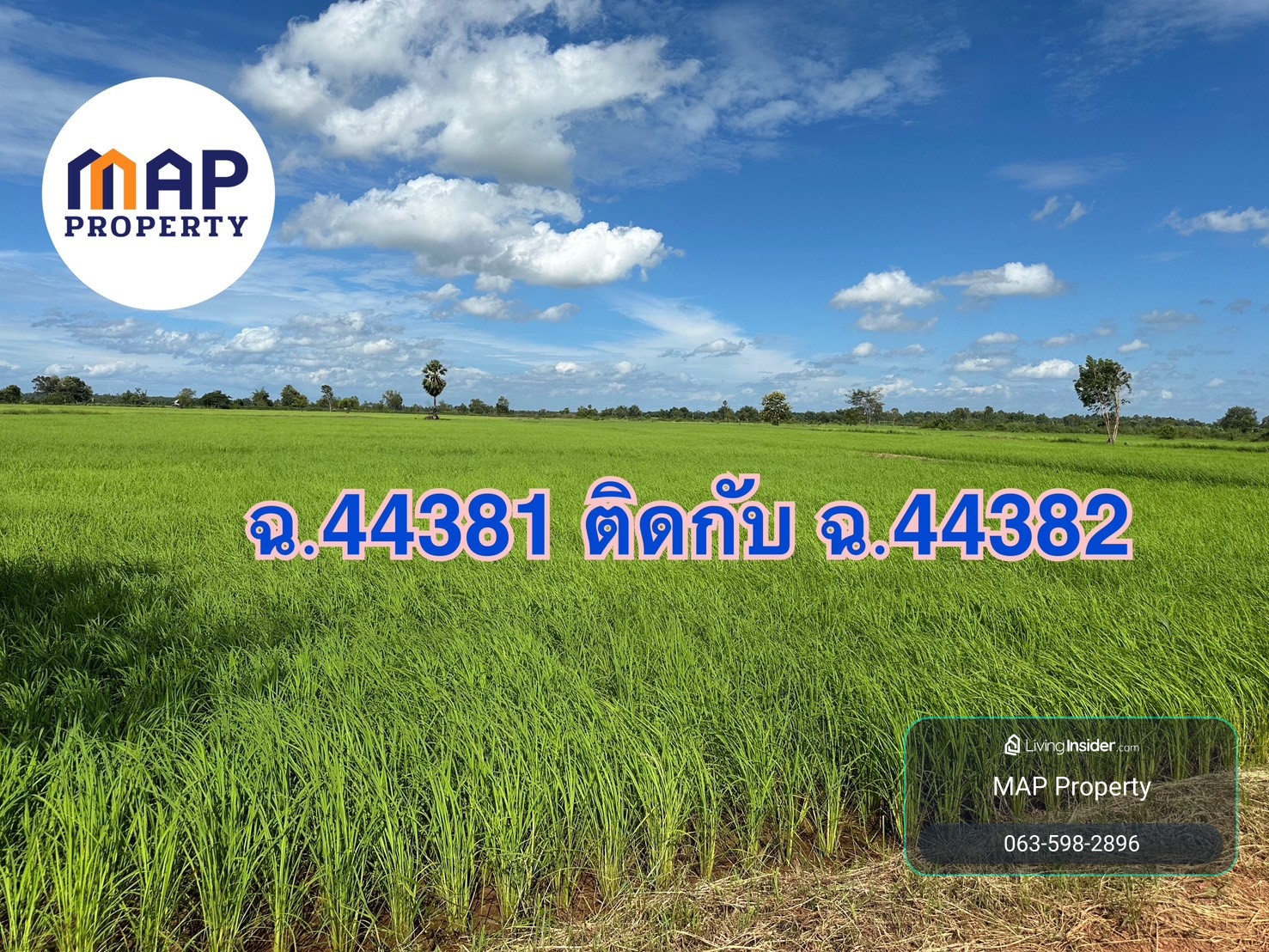 ขายที่นาแปลงใหญ่ 18 ไร่เศษ รวม 2 โฉนด ทำเลดี น้ำพร้อม ทำเกษตรต่อได้ – รูปที่ 4