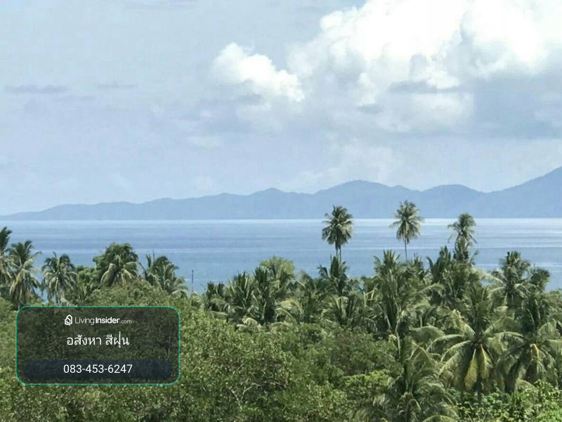 ที่ดิน 21-2-69 ไร่ ใกล้ทะเล วิวสวย ตำบลหนองทะเล อำเภอเมือง จังหวัดกระบี่ – รูปที่ 2