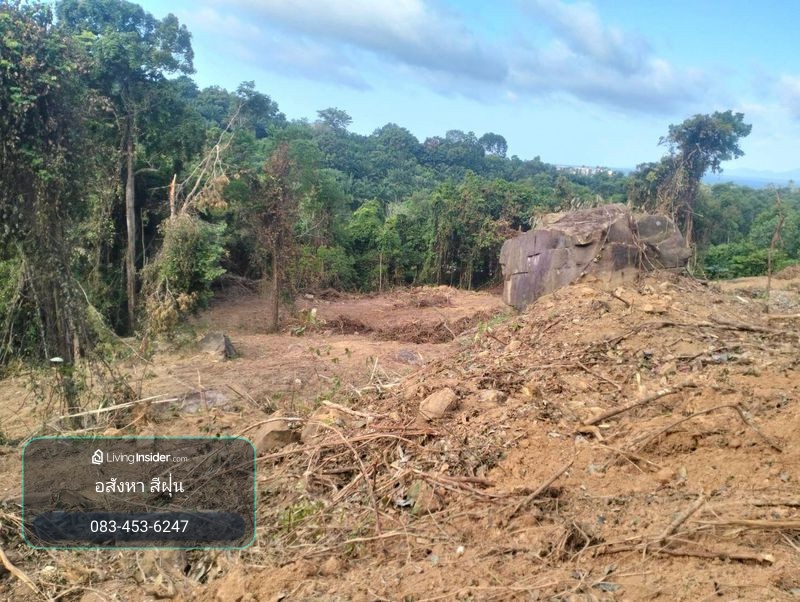 ที่ดิน 21-2-69 ไร่ ใกล้ทะเล วิวสวย ตำบลหนองทะเล อำเภอเมือง จังหวัดกระบี่ – รูปที่ 4