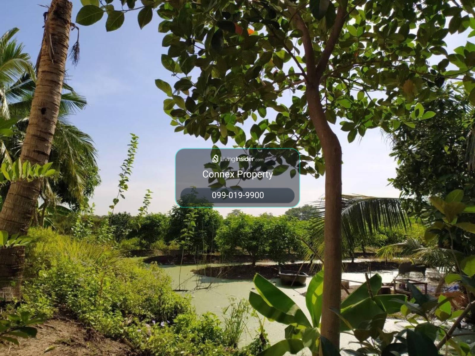 ขายที่ดิน2แปลง ถนนเลียบคลองภาษีเจริญฝั่งใต้ ซอย.3 แขวงหนองแขม เขตหนองแขม  หนองแขม เขต หนองแขม กรุงเทพ CX-173260 – รูปที่ 2