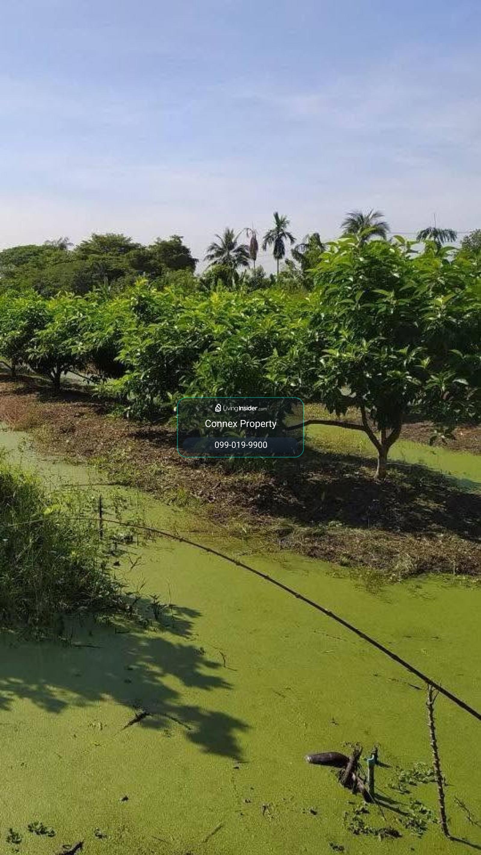 ขายที่ดิน2แปลง ถนนเลียบคลองภาษีเจริญฝั่งใต้ ซอย.3 แขวงหนองแขม เขตหนองแขม  หนองแขม เขต หนองแขม กรุงเทพ CX-173260 – รูปที่ 3
