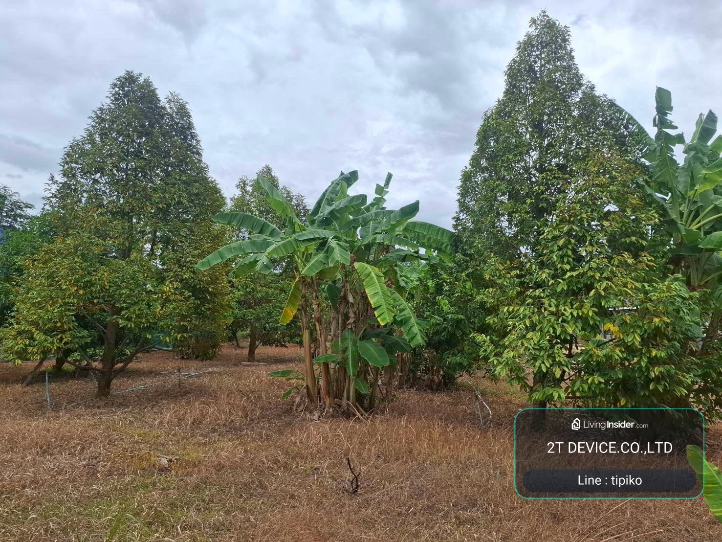 Land & House for sale Sai Yok, Kanchanaburi, near Kwai Noi River, land size 4 rai 1 ngan 38 square wa – รูปที่ 3