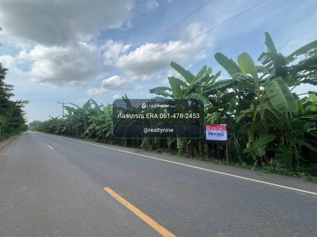 Large plot of land for sale, area 35 rai 3 ngan 80 square wah, Song Khon Subdistrict, Kaeng Khoi District, Saraburi Province, price 21,570,000 baht. – รูปที่ 4