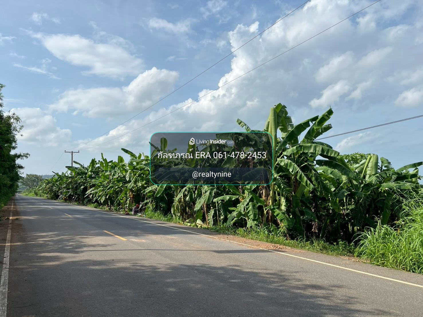 Large plot of land for sale, area 35 rai 3 ngan 80 square wah, Song Khon Subdistrict, Kaeng Khoi District, Saraburi Province, price 21,570,000 baht. – รูปที่ 3