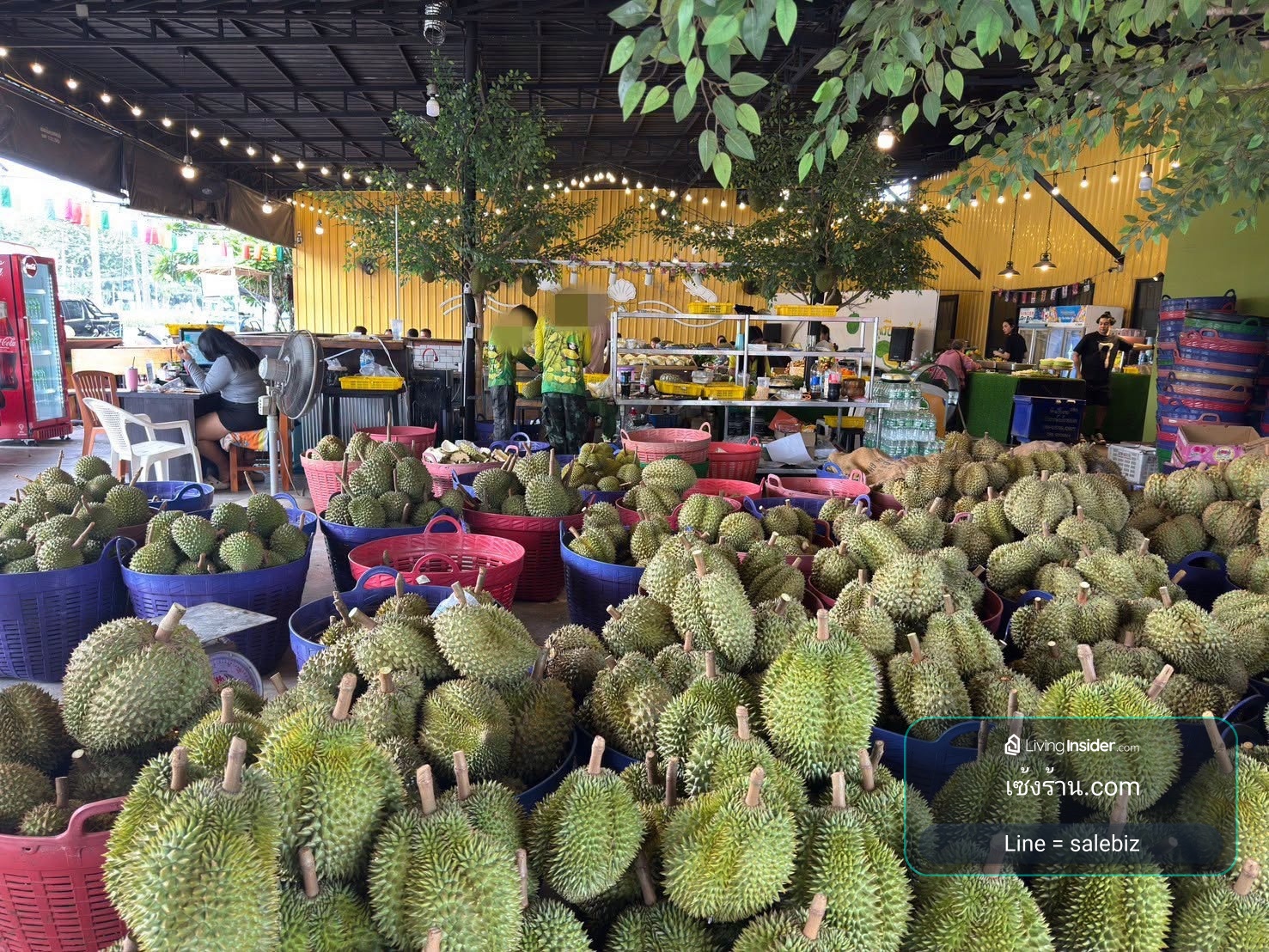 ปล่อยเช้ง ร้านขายของ-พื้นที่ ในพัทยาใต้ สุขุมวิทพัทยา 62 ติดถนน แยกไฟแดง คนผ่านเยอะ ห่างจากทะเล 3 กิโล – รูปที่ 4