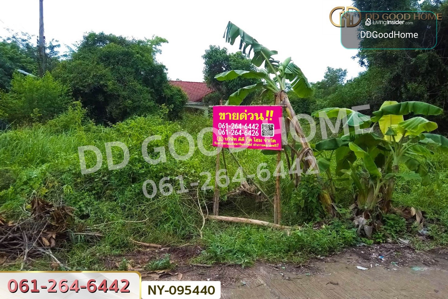 Land in Mueang Sa Kaeo, 98 Sq. Wah NY-095440 – รูปที่ 4