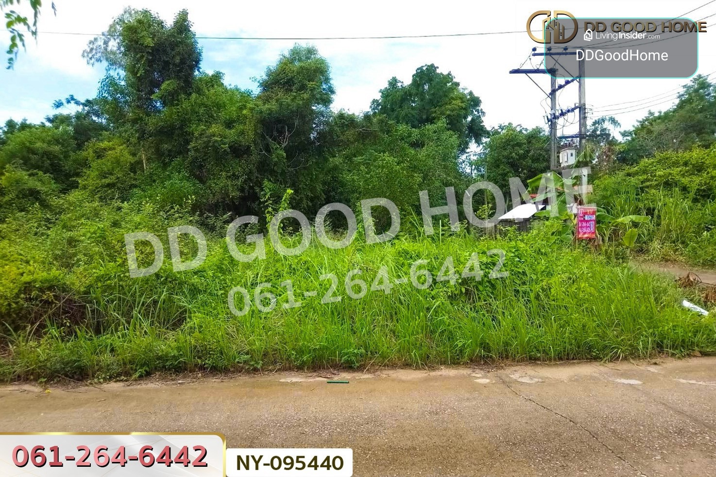 Land in Mueang Sa Kaeo, 98 Sq. Wah NY-095440 – รูปที่ 2