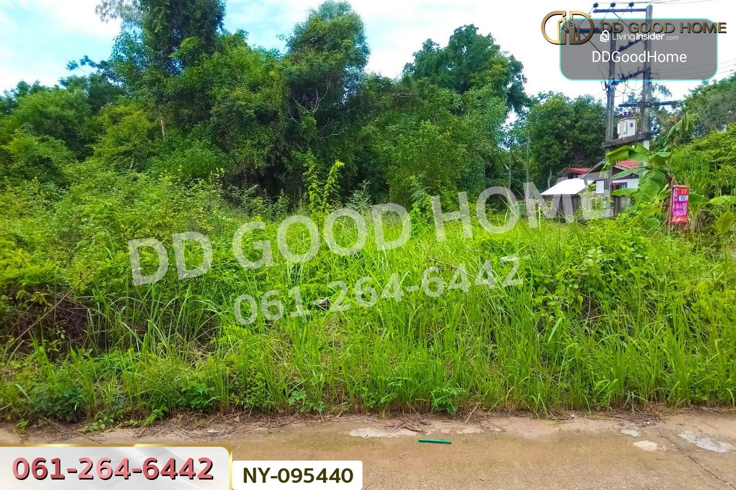 Land in Mueang Sa Kaeo, 98 Sq. Wah NY-095440 – รูปที่ 3