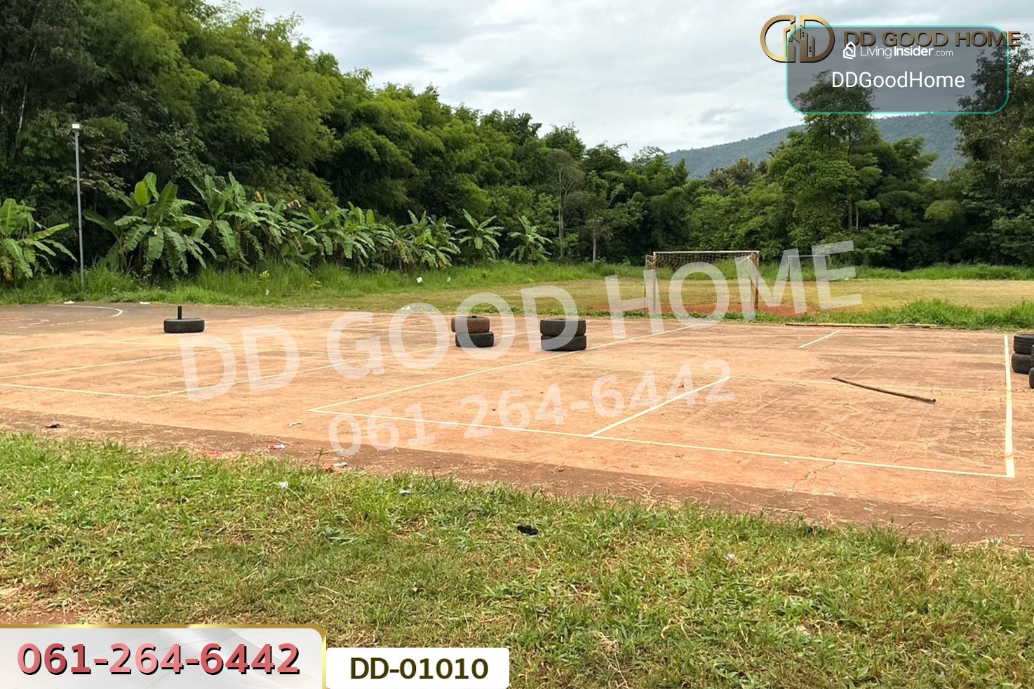 ที่ดินป่าเมี่ยง 16 ไร่ 311 ตร.ว. ดอยสะเก็ด เชียงใหม่ DD-01010 – รูปที่ 3