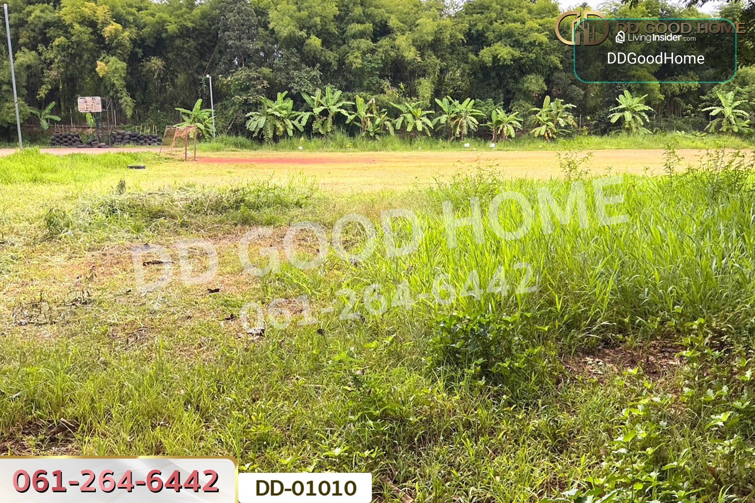 ที่ดินป่าเมี่ยง 16 ไร่ 311 ตร.ว. ดอยสะเก็ด เชียงใหม่ DD-01010 – รูปที่ 4