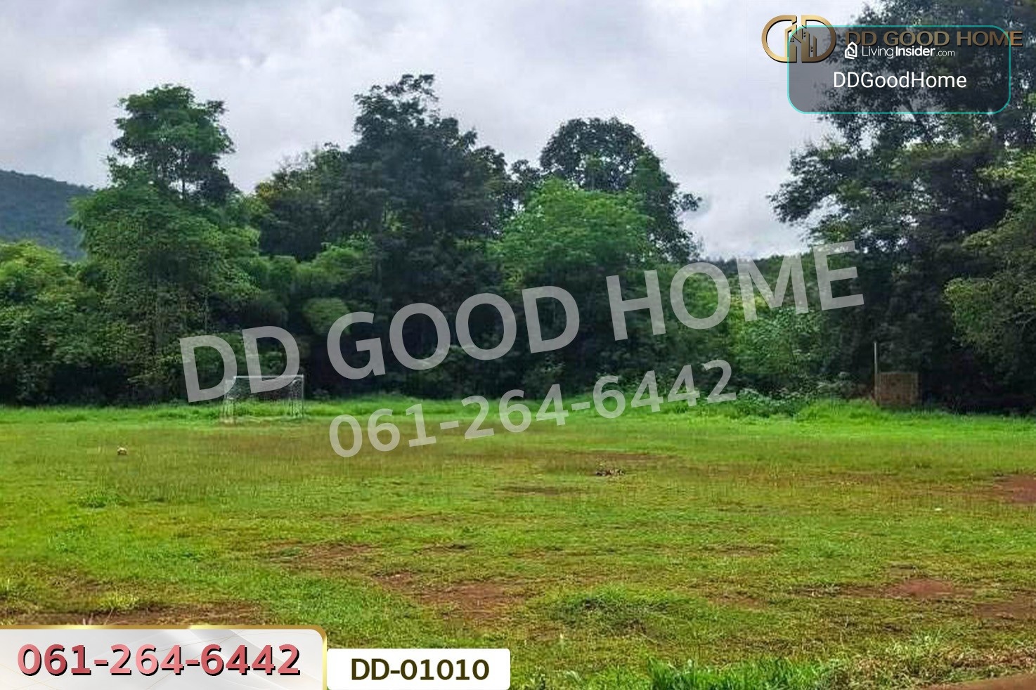 ที่ดินป่าเมี่ยง 16 ไร่ 311 ตร.ว. ดอยสะเก็ด เชียงใหม่ DD-01010 – รูปที่ 2