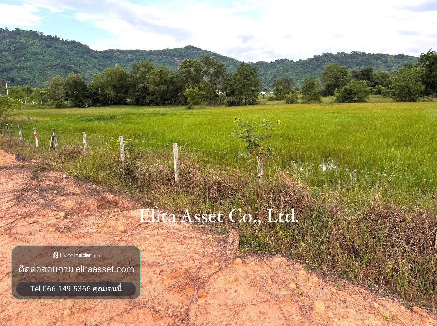 ‼️ขายด่วนที่ดินเปล่า ‼️ 333.5 ตร.วา  ต.เขาพระ จ.นครนายก โฉนดครุฑแดงพร้อมโอน ตรว.5,xxx คุ้มมาก ที่ถมให้แล้ว ล้อมรั้วให้เรียบร้อย ใกล้แหล่งท่องเที่ยว ทำเลศักยภาพ ที่ดินสวย ดินดี ราคาถูกวิวเขาสวยแบบนี้ หายากในเขาพระ  นครนายก ---------------------------- – รูปที่ 3