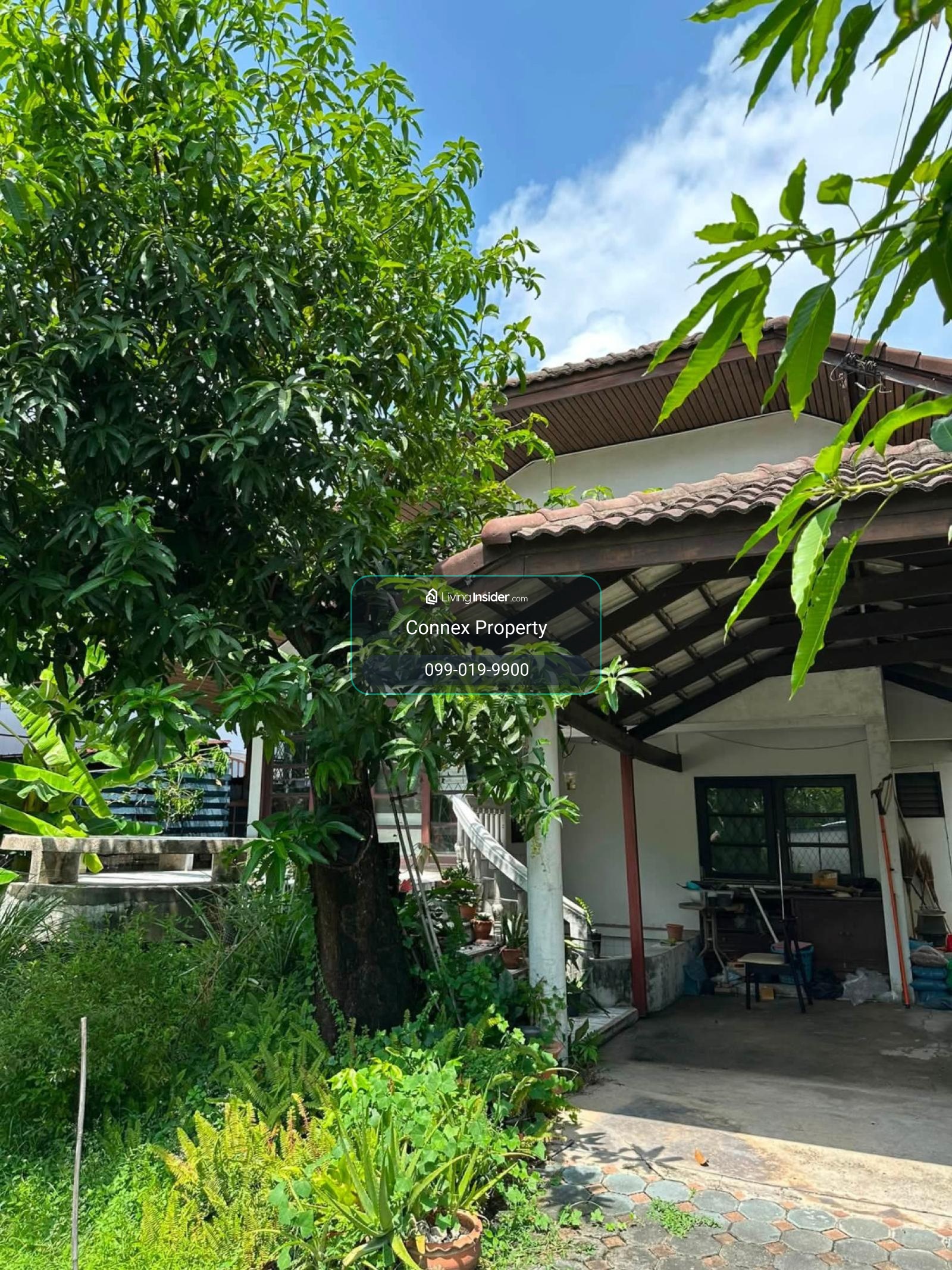 ขายบ้านเดี่ยว 2ชั้น อ่อนนุช 17 เนื้อที่ 73 ตารางวา สวนหลวง เขต สวนหลวง กรุงเทพ CX-174317 – รูปที่ 3
