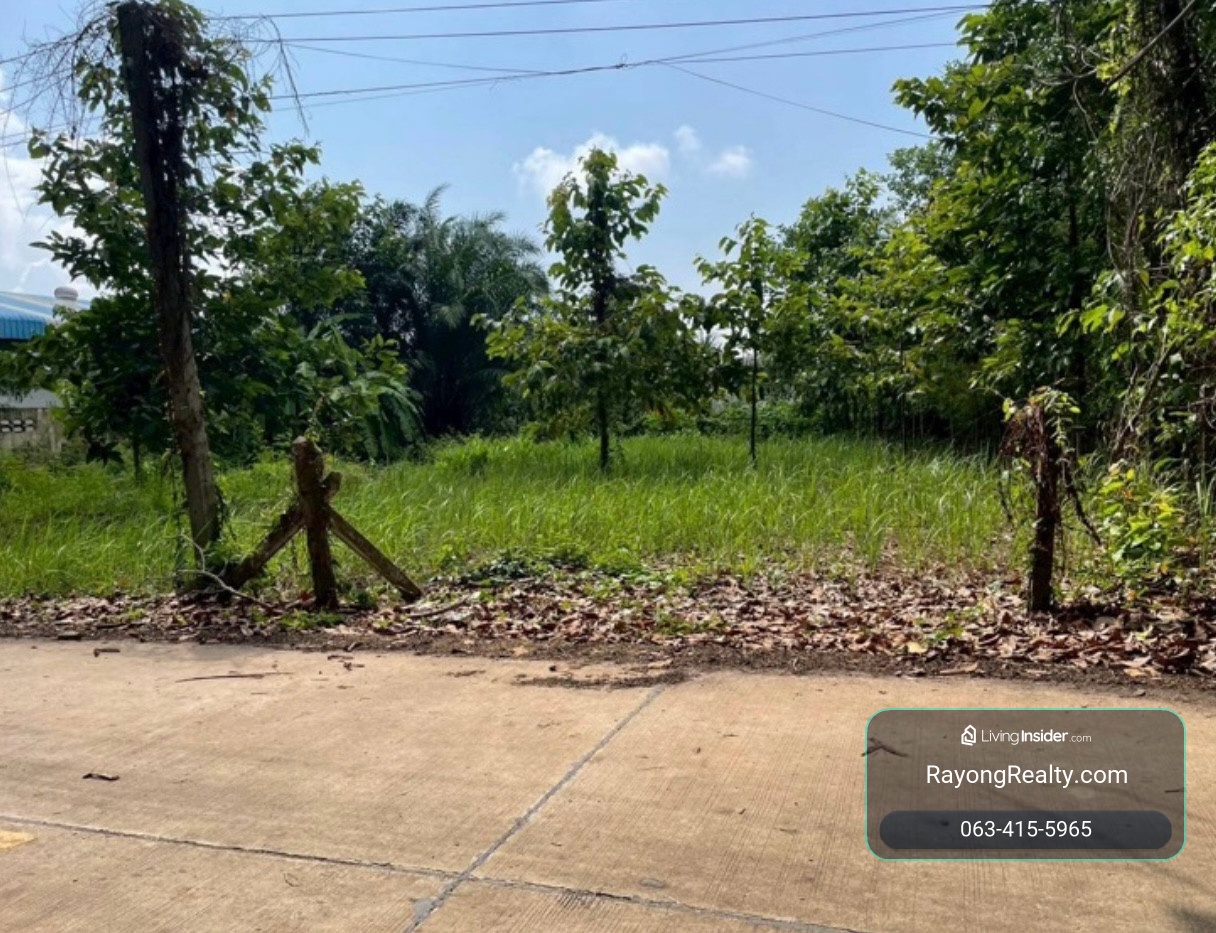 ขายที่ดิน 200 ตร.วา ติดถนนสาธารณะ ใกล้หาดแม่รำพึง 3 นาที ตะพง – รูปที่ 3