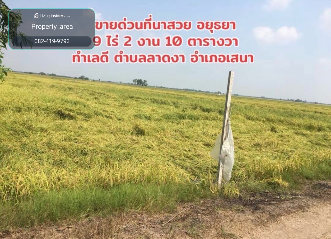 Land for sale in Ayutthaya with tenant!! 9 rai 2 ngan 10 square wah, price 2,300,000 baht, negotiable if interested. – รูปที่ 2