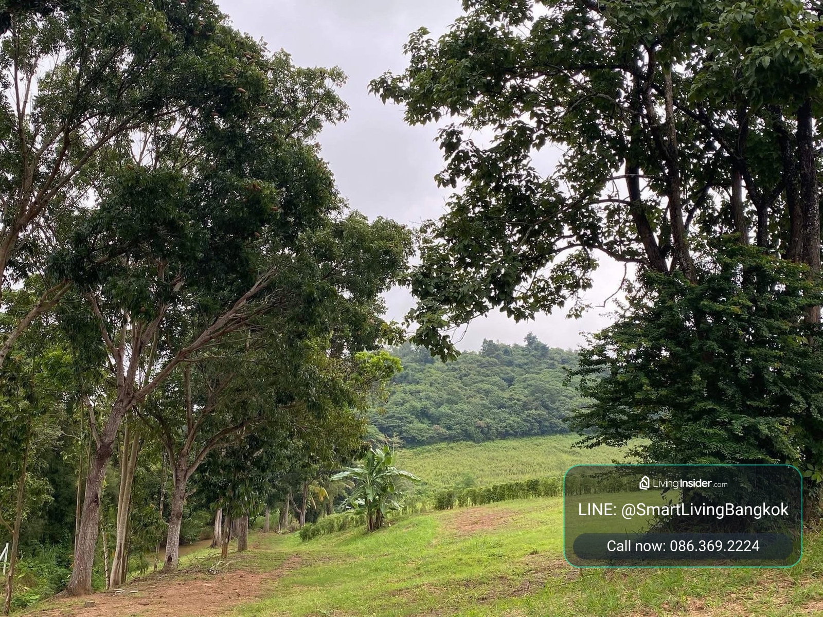 Khao Yai Land for Sale in Wang Ka Ta — 778 Sq.w. Hillside Land with Water Frontage, Stream and Waterfall Views  – รูปที่ 2